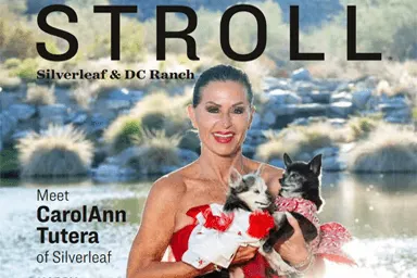 stroll article